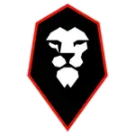 Logo Salford
