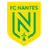 Nantes badge