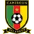 Camerun badge