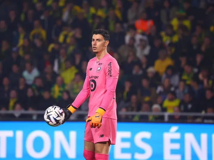 Lille vs Stella Rossa – Novità e probabili formazioni