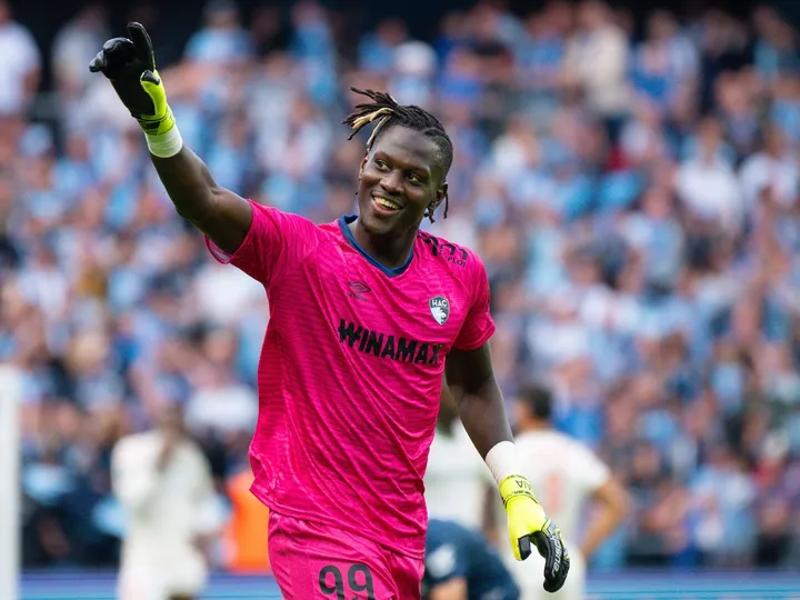 Le Havre vs Lione – Notizie e probabili formazioni