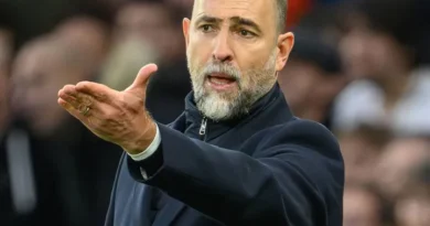 Tottenham vs Crystal Palace – Novità e probabili formazioni