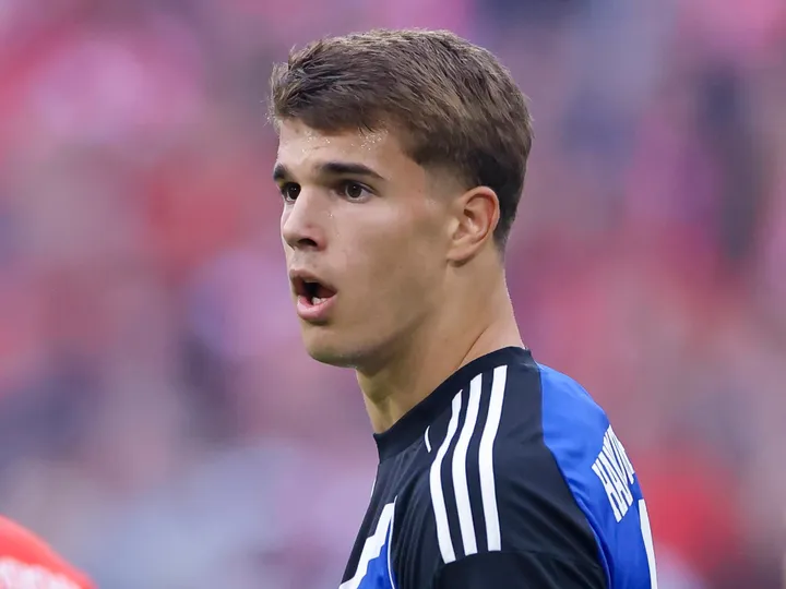 Wolfsburg vs Amburgo SV – Notizie e probabili formazioni