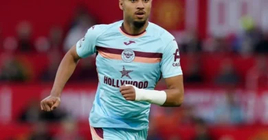 Brentford vs Crystal Palace – Notizie e probabili formazioni