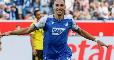 Hoffenheim vs Amburgo SV – Notizie e probabili formazioni